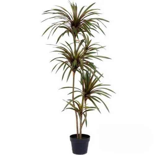 Dracaena Marginata - 시뮬레이션 컬러풀 포니테일 아이언 드라세나 마르티나타
