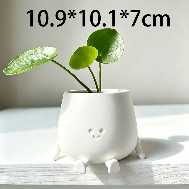 3D 프린팅 귀여운 스마일 페이스 화분, 창의적인 만화 - Echeveria Succulent 리뷰 및 가격