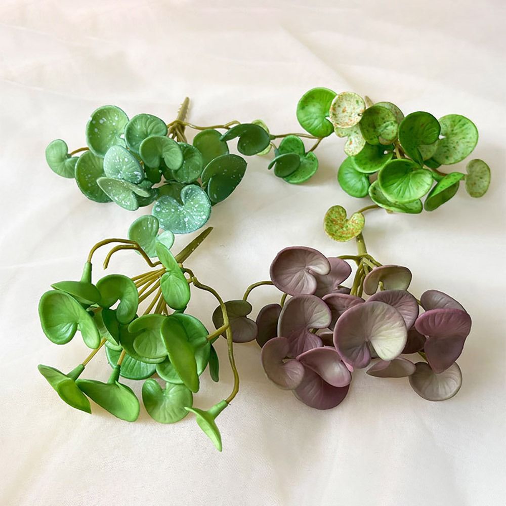 부드러운 접착제 인조 식물 EVA 녹색 다육 식물, 나 - Echeveria Succulent 리뷰 및 가격