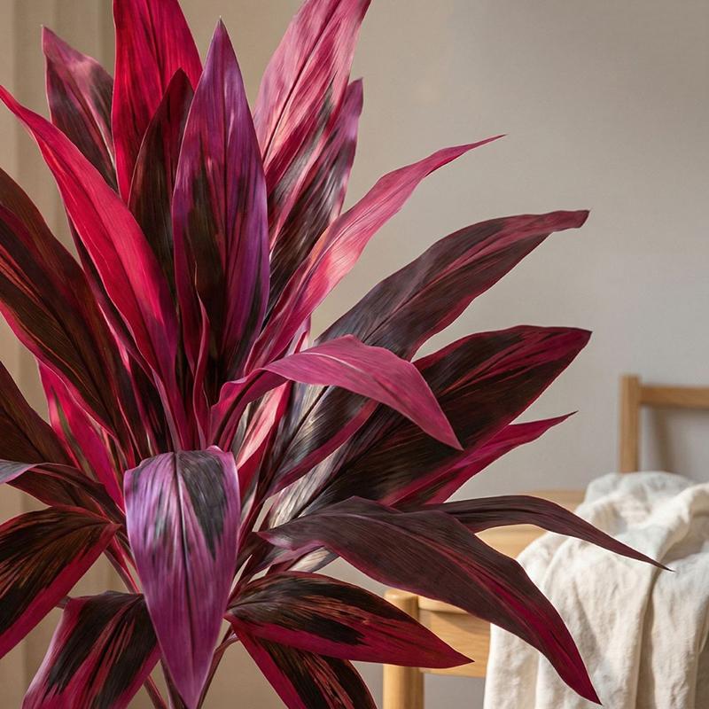 대형 인조 드라세나 마르미나타 나무 55cm 목재 줄기 - Dracaena Marginata 리뷰 및 가격