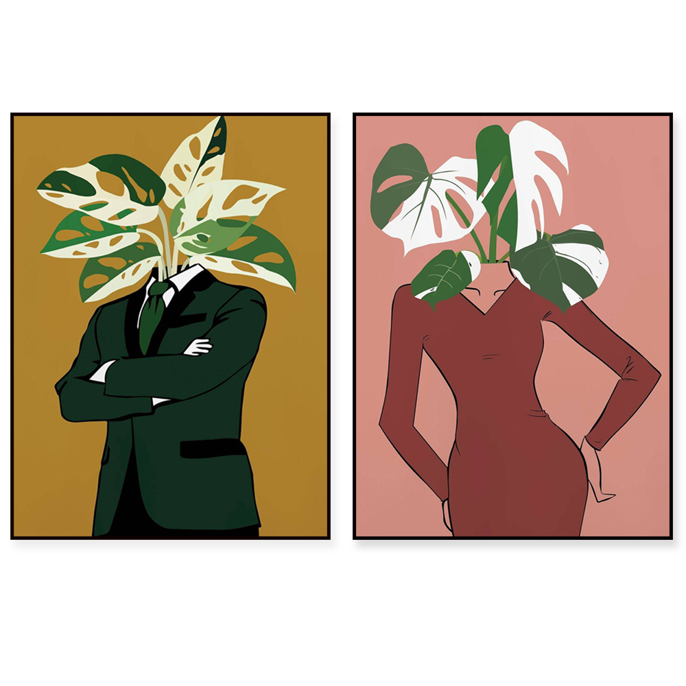 버건디 드레스 포스터를 입은 몬스테라 알보(Monste - Monstera Adansonii 리뷰 및 가격