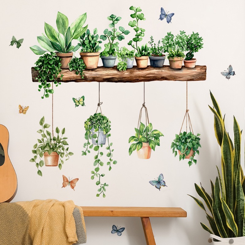 3D 화분에 심은 녹색 식물 선반 벽 데칼, 거실 주방 - Echeveria Succulent 리뷰 및 가격