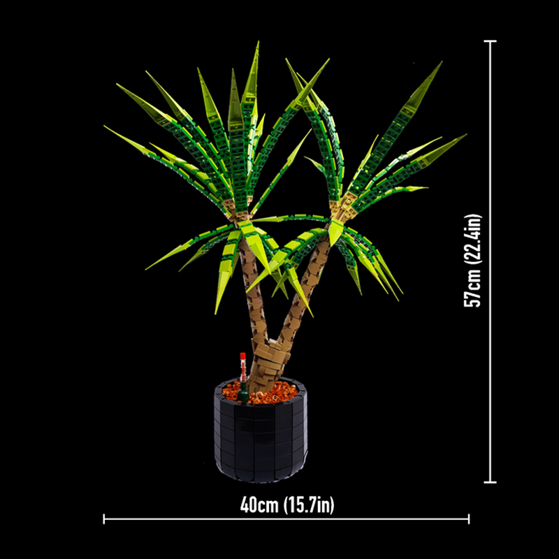 1961피스 MOC 드라세나 마르미나타 드래곤 트리 창 - Dracaena Marginata 리뷰 및 가격