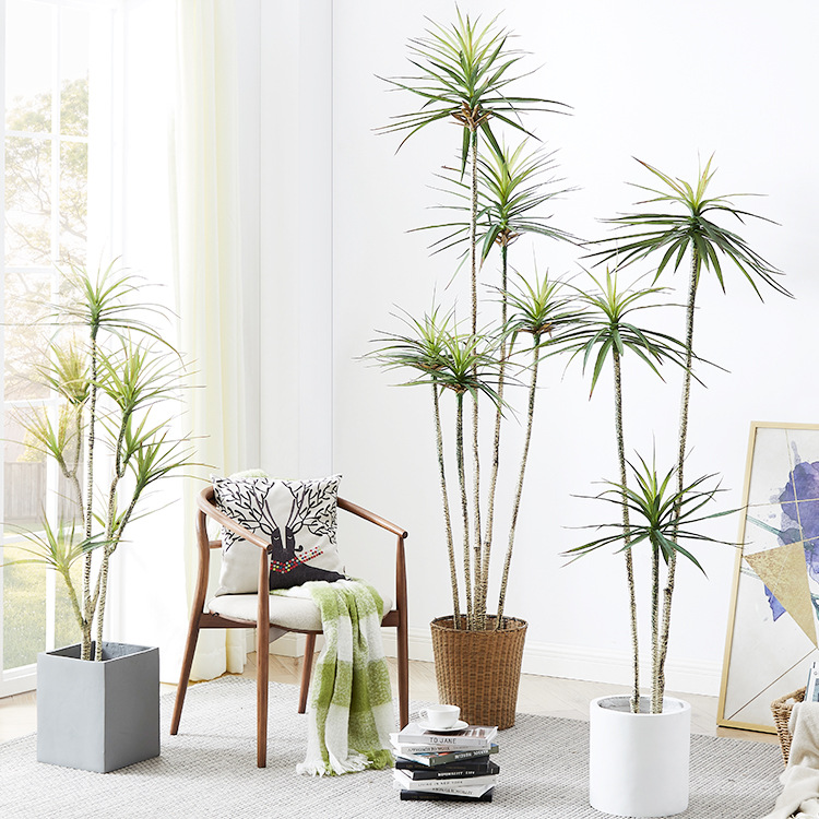 인공 플라스틱 화분 ​ 식물 드라세나 마르기나타 실물  - Dracaena Marginata 리뷰 및 가격