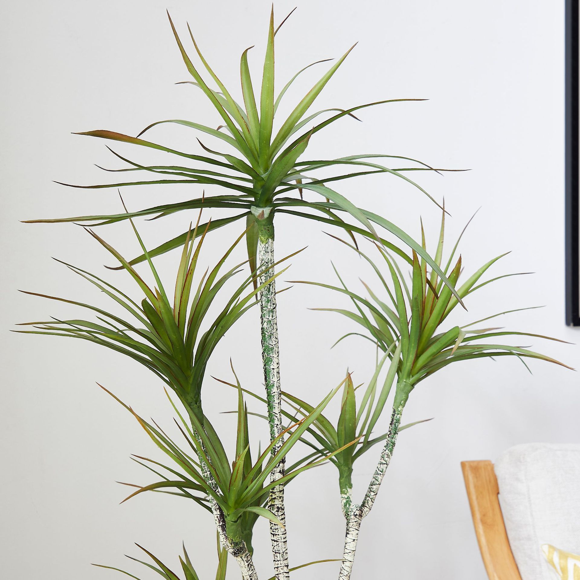 인공 플라스틱 화분 ​ 식물 드라세나 마르기나타 실물  - Dracaena Marginata 리뷰 및 가격