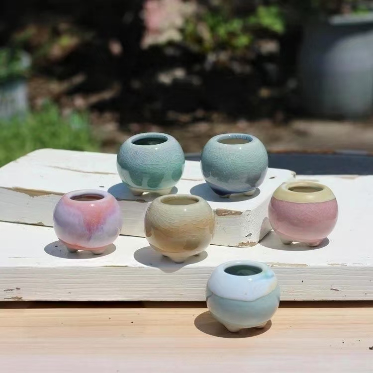 6Pcs 미니 화분 다육 식물 작은 다육 식물 도자기  - Echeveria Succulent 리뷰 및 가격